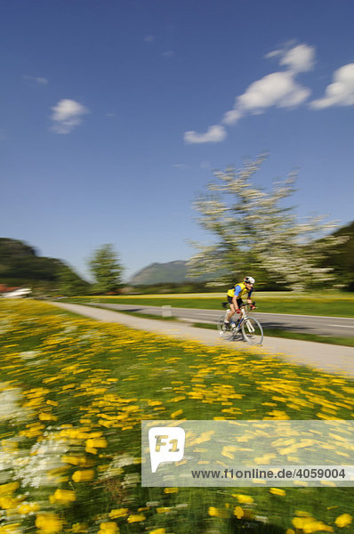 Rennradfahrer  Racebiker  Schleching  Chiemgau  Bayern  Deutschland  Europa