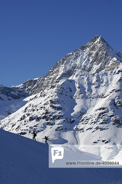 Ski hikers in front of the Obergabelhorn  Zermatt  Wallis  Switzerland  Europe
