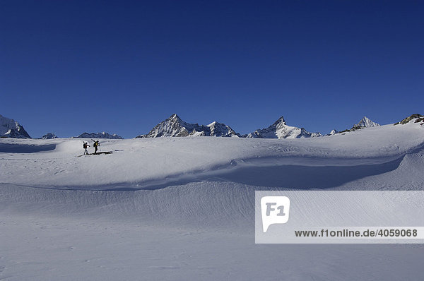 Skifahrer  Freerider  Skibergsteiger  Sandiger Boden  Zinalrothorn  Obergabelhorn  Zermatt  Wallis  Schweiz  Europa