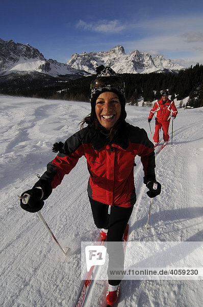 Nordic or cross-country skiers on the Alpe Nemes Alps  High Puster Valley or High Puster Valley or Alto Pusteria  Bolzano-Bozen  Italy  Europe