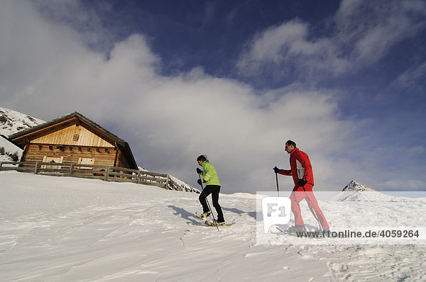 Snowshoe hikers on the Alpe Nemes Alps  in the High Puster Valley or Alto Pusteria  Bolzano-Bozen  Dolomites  Italy  Europe