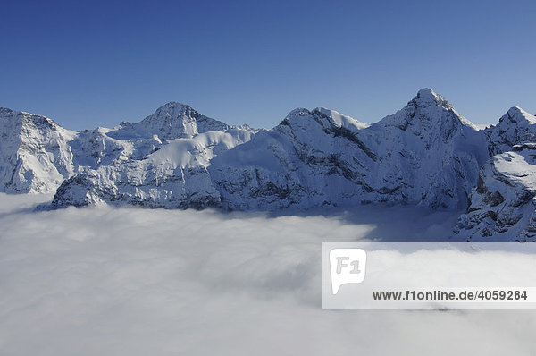 Panoramablick vom Schilthorn  Piz Gloria in die Berner Alpen  Lauterbrunnen  Schweiz  Europa