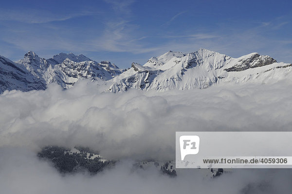 Blick vom Männlichen auf das Schilthorn  Grindelwald  Berner Alpen  Schweiz  Europa