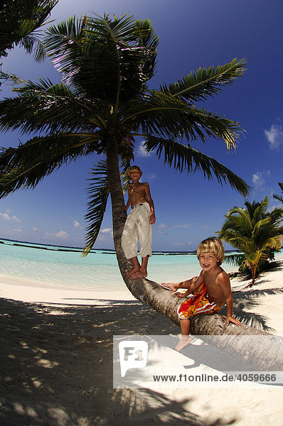 Children on a palm tree trunk in Kurumba Resort  The Maldives  Indian Ocea