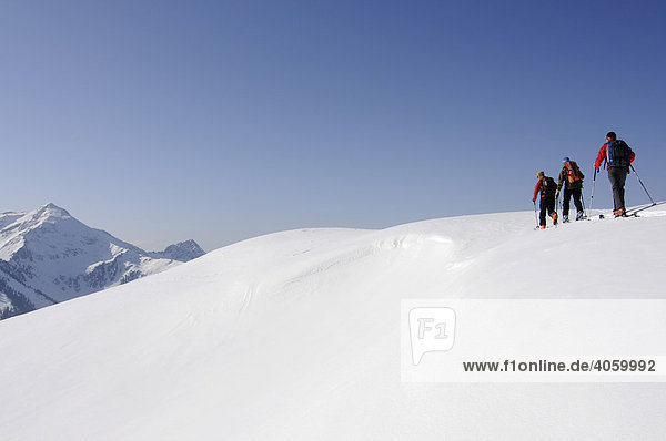 Ski hikers on a trek up Mount Joel and Mount Laempersberg  Wildschoenau  Tyrol  Austria  Europe