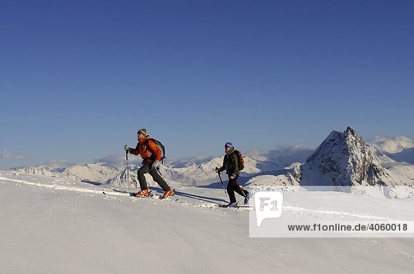 Ski hikers on a tour to the peak of Mount Brechhorn  view of Mount Rettenstein  Spertental Valley  Tyrol  Austria  Europe