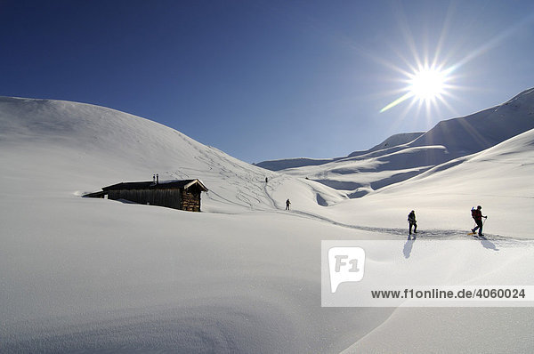 Schneeschuhwanderer auf der Rosswildalm  Tristkopf  Kelchsau  Tirol  Österreich  Europa