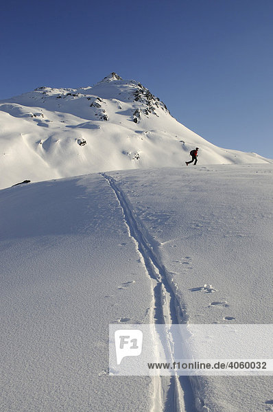 Skiwanderer bei Skitour auf den Tristkopf  Kelchsau  Tirol  Österreich  Europa