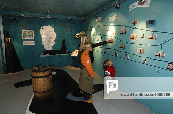 Frau und zwei Kinder im Raum für Kinder im Walfangmuseum in Husavik Island Europa