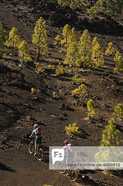 Bicyclists  off-road  Tenerife  Canary Islands  Spain  Europe