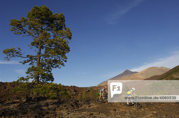 Bicyclists  off-road  Tenerife  Canary Islands  Spain  Europe