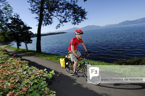 Bicyclist at Dampfersteg in Chieming  Chiemsee  lake  Chiemgau  Bavaria  Germany  Europe