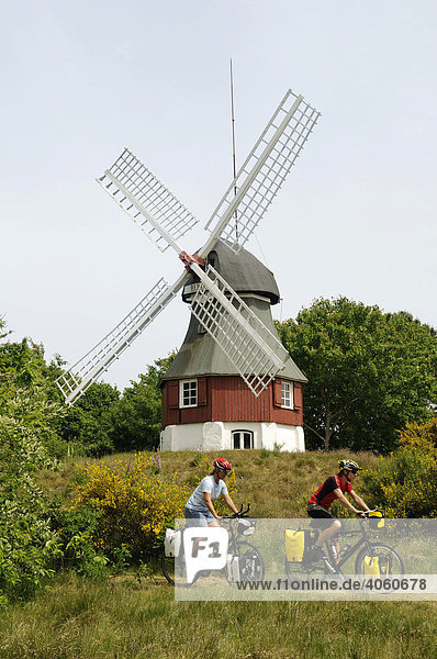 Windmühle  davor Radfahrer  Insel Amrum  Nordfriesland  Schleswig-Holstein  Deutschland  Europa