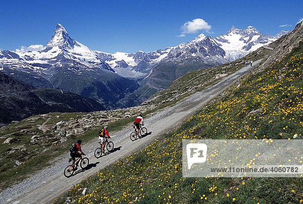 Mountainbiker vor Matterhorn  Zermatt  Wallis  Schweiz  Europa