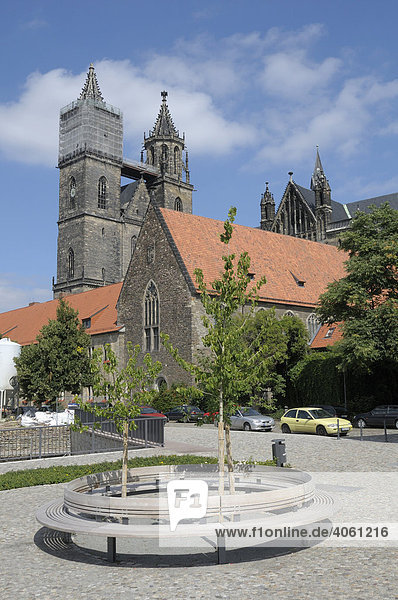 Dom Sankt Mauritius Sankt Katharina  Magdeburg  Sachsen-Anhalt  Deutschland  Europa