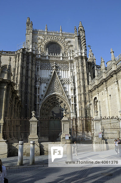 Catedral de Santa Maria de la Sede  Kathedrale  Sevilla  Andalusien  Spanien  Europa