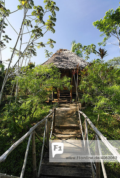 Bungalow mit Schilfdach im tropischen Wald leichte Holzbrücke Punta Gorda Belize Zentralamerika Karibik