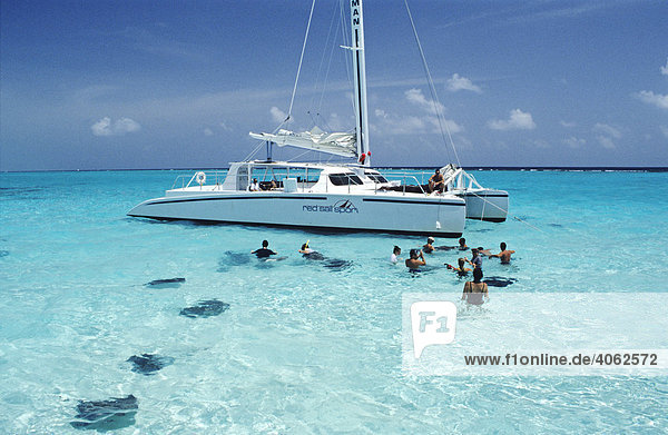 Touristen baden mit Stachelrochen  Stingray City  Grand Cayman  Cayman Islands  Karibik  Mittelamerika