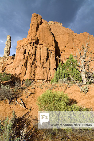 Gewitterstimmung über dem Finger Rock im Kodachrome Basin State Park  Utah  USA  Nordamerika
