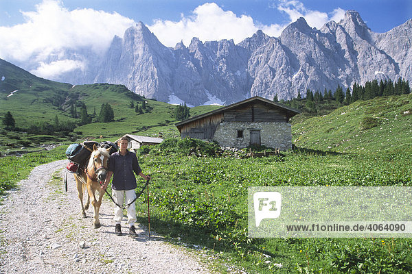 Trekking mit Haflinger durch das Karwendelgebirge  hinten die Laliderer Wände  Naturfotografin bei der Arbeit  Nordtirol  Österreich  Europa