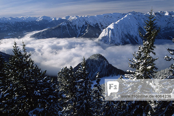 Blick von der Erfurter Hütte über das Karwendelgebirge  Nordtirol  Österreich  Europa