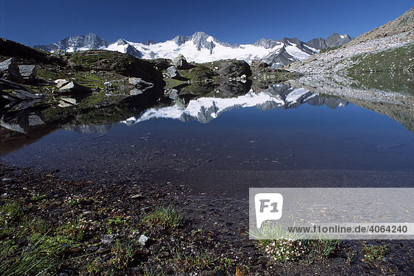 Großer Möseler spiegelt sich im Schwarzsee in den Zillertaler Alpen  Nordtirol  Österreich  Europa
