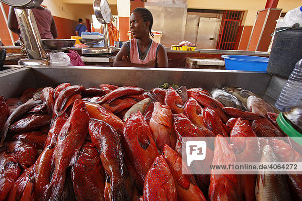 Verkäuferin mit frischem rotem Fisch auf dem Fischmarkt von Mindelo  Insel Sao Vicente  Kapverdische Inseln  Kap Verde  Afrika