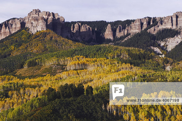 Berggipfel und und Espen in Herbstfarben  Uncompahgre National Forest  Colorado  USA