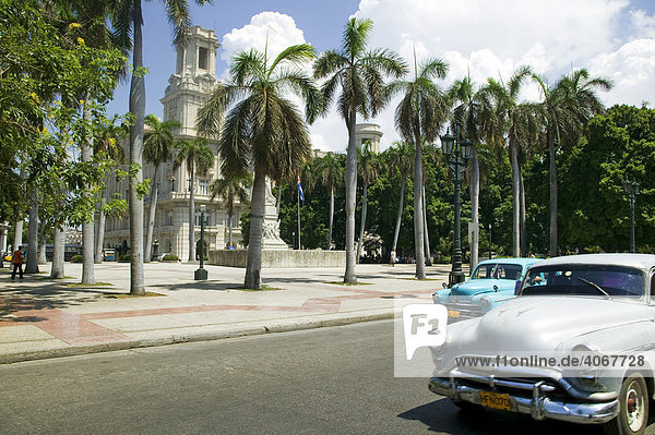 Oldtimer vor Palmen  Havanna  Kuba  Mittelamerika  Karibik