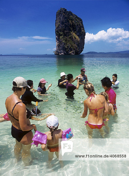 Tourists feeding fish in Krabi  Thailand  Asia
