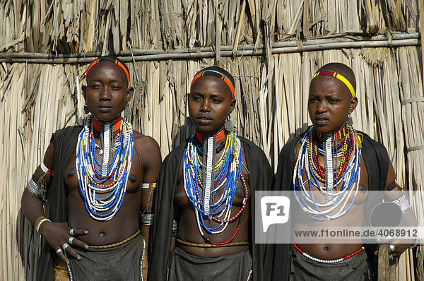 Drei junge Frauen mit vielen Halsketten vor Strohhütte  Volk der Erbore  bei Weyto  Äthiopien  Afrika