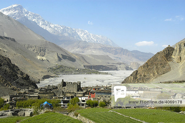 Blick auf Felder und Dorf  Tal des Kali Gadaki River  Kagbeni  Mustang  Himalaya  Nepal  Südasien