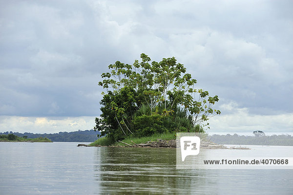 Insel im Fluss Rio Napo in der Nähe der Stadt Coca  Ecuador  Südamerika