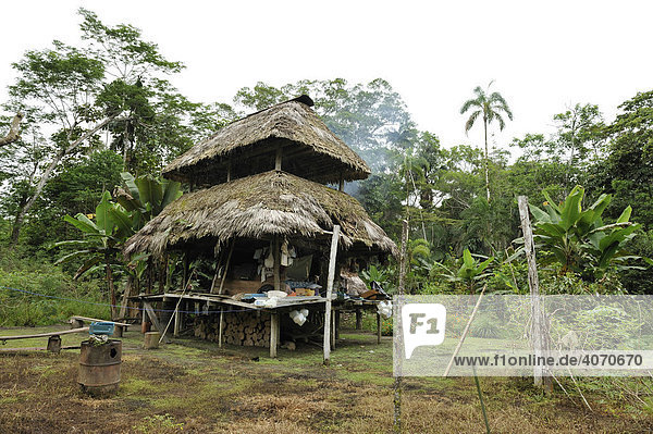 Haus einer Urwaldsiedlung am Fluss Rio Napo bei Coca  Ecuador  Südamerika