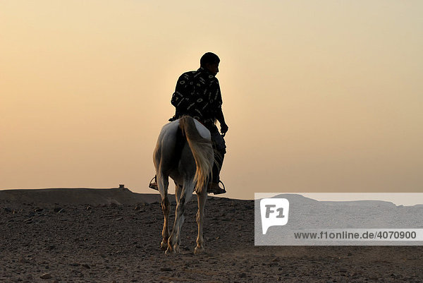 Arabischer Reiter  früh am Morgen  Sahara  Ägypten  Afrika