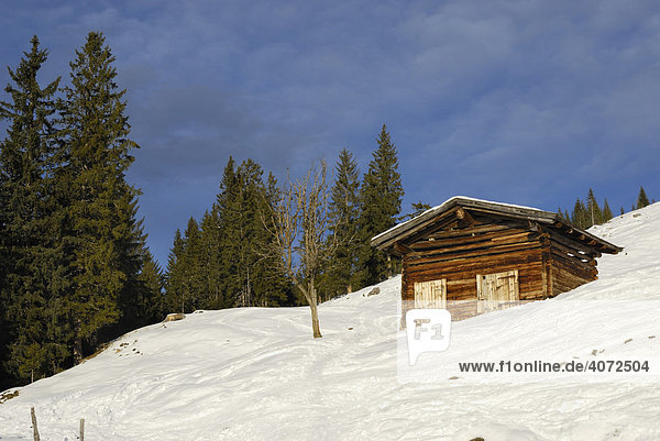 Heuschober aus rohen Holzbalken in alpiner Winterlandschaft  Wildschönau  Tirol  Österreich  Europa