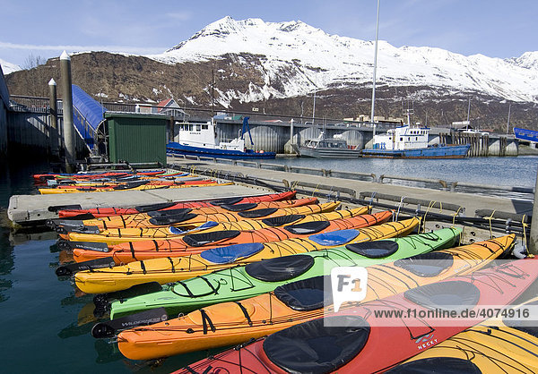 Seekajaks  Valdez Small Boat Harbour  Prince William Sound  Alaska  USA