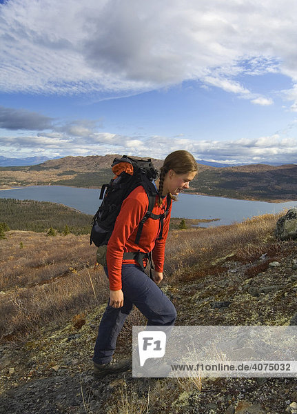 Junge Frau wandert  Rucksacktour  alpine Tundra  Fish See hinten  Herbstfarben  Yukon Territory  Kanada  Nordamerika