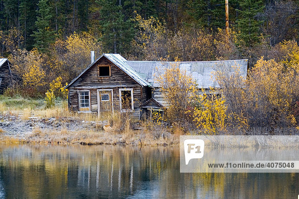 Historische Blockhütte  Klondike Goldrausch  Nares Lake  Lake Benett  Herbstfarben  Carcross  Yukon Territory  Kanada  Nordamerika
