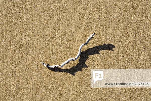 Holzstück im harten Streiflicht am Strand mit markantem Schatten  Schattenspiel  Strukturen im Sand  Strand  Atlantik