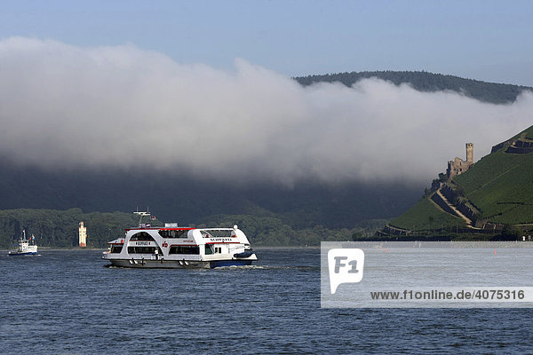 Passenger boat in fog  Rhine River  Bingen  Rhineland-Palatinate  Germany  Europe