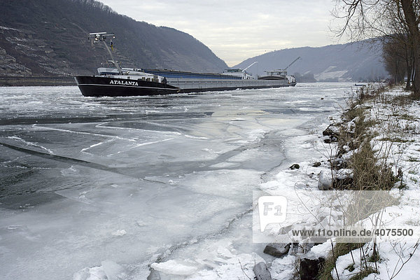 Binnenschiffe liegen im Eis der Mosel fest  bei Oberfell  Rheinland-Pfalz  Deutschland  Europa