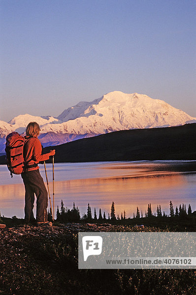 Person beim Wandern  Blick auf Mt. McKinley  Denali National Park  Alaska  Nordamerika