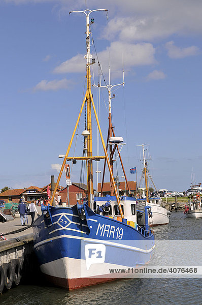 Fischkutter im Hafen von Maasholm  Ostseeküste  Schleimündung  Schleswig-Holstein  Norddeutschland  Deutschland  Europa