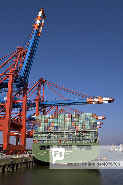 Containerschiff am Containerterminal Eurokai im Hamburger Hafen  Hamburg  Deutschland  Europa