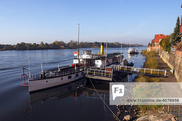 Historic steamboat Kaiser Wilhelm next to the promenade on the Elbe River in Lauenburg  Herzogtum-Lauenburg District  Schleswig-Holstein  Germany  Europe