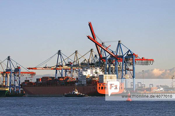 Containerschiff Alianca Maua bei der Containerverladung am Containerterminal Burchardkai im Hamburger Hafen an der Elbe  Hamburg  Deutschland  Europa