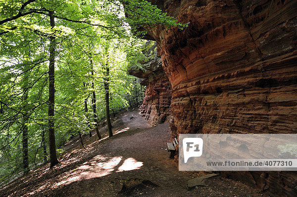 Altschlossfelsen  Eppenbrunn  Naturpark Pfälzerwald  Pfalz  Rheinland-Pfalz  Deutschland  Europa
