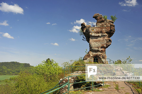 Ruine Drachenfels  auch Backenzahn genannt  Busenberg  Naturpark Pfälzerwald  Pfalz  Rheinland-Pfalz  Deutschland  Europa