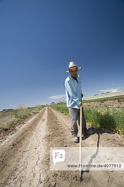 A worker cultivating a row of a newly-planted crop at Crooked Sky Farms  Phoenix  Arizona  USA